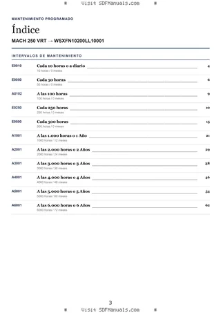 Mantenimiento programado: MACH 250 VRT → WSXFN10200LL10001 – maintenance schedule sample