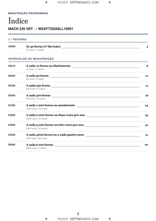 Manutenção programada: MACH 230 VRT → WSXFT30200LL10001 – maintenance schedule sample