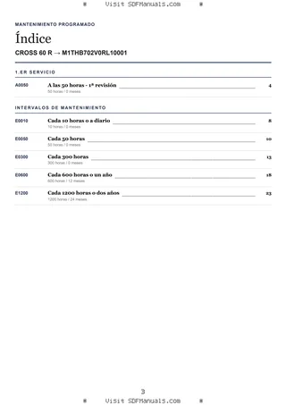 Mantenimiento programado: CROSS 60 R → M1THB702V0RL10001 – maintenance schedule sample