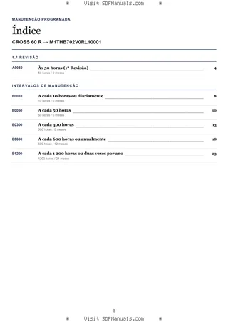 Manutenção programada: CROSS 60 R → M1THB702V0RL10001 – maintenance schedule sample
