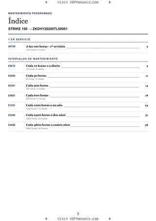 Mantenimiento programado: STRIKE 100 → ZKDHY20200TL50001 – maintenance schedule sample