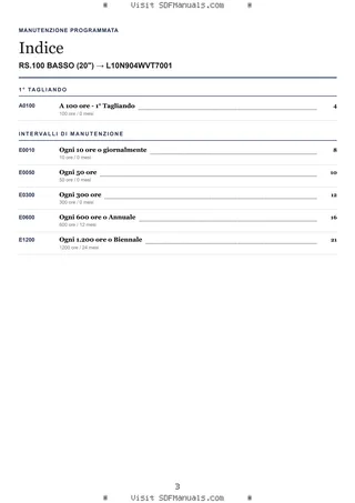 Manutenzione programmata: RS.100 BASSO (20") → L10N904WVT7001 – maintenance schedule sample