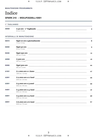 Manutenzione programmata: SPARK 210 → WSXJP20200LL10001 – maintenance schedule sample