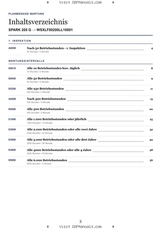 Planmäßige Wartung: SPARK 205 G → WSXLF80200LL10001 – maintenance schedule sample