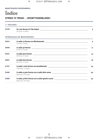 Manutenção programada: STRIKE 75 TREND → ZKDMT702W0BL50001 – maintenance schedule sample