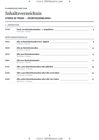 Planmäßige Wartung: STRIKE 95 TREND → ZKDMT802W0BL50001 – maintenance schedule sample