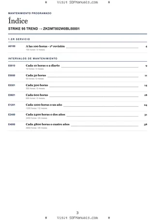 Mantenimiento programado: STRIKE 95 TREND → ZKDMT802W0BL50001 – maintenance schedule sample