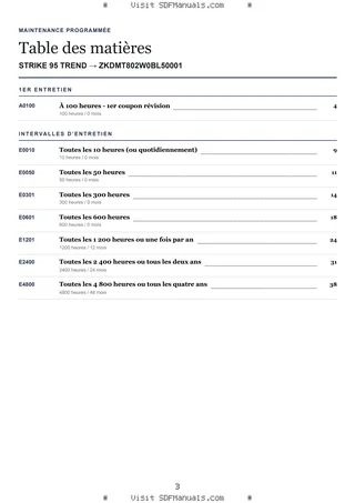 Maintenance programmée: STRIKE 95 TREND → ZKDMT802W0BL50001 – maintenance schedule sample
