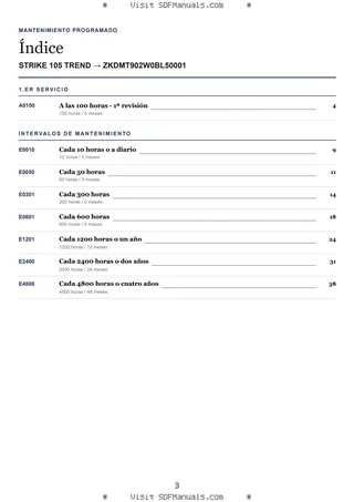 Mantenimiento programado: STRIKE 105 TREND → ZKDMT902W0BL50001 – maintenance schedule sample