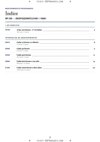 Mantenimiento programado: RF.100 → ZKDP4202W0TL01001 / 10001 – maintenance schedule sample