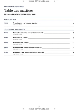 Maintenance programmée: RF.100 → ZKDP4202W0TL01001 / 10001 – maintenance schedule sample