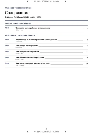 Плановое техобслуживание: RS.80 → ZKDP4602W0TL1001 / 10001 – maintenance schedule sample