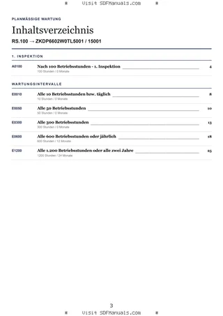 Planmäßige Wartung: RS.100 → ZKDP6602W0TL5001 / 15001 – maintenance schedule sample