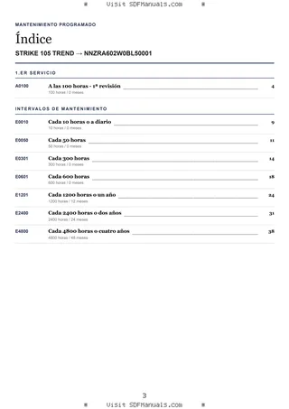 Mantenimiento programado: STRIKE 105 TREND → NNZRA602W0BL50001 – maintenance schedule sample