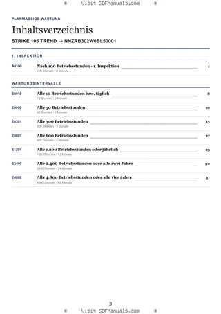 Planmäßige Wartung: STRIKE 105 TREND → NNZRB302W0BL50001 – maintenance schedule sample