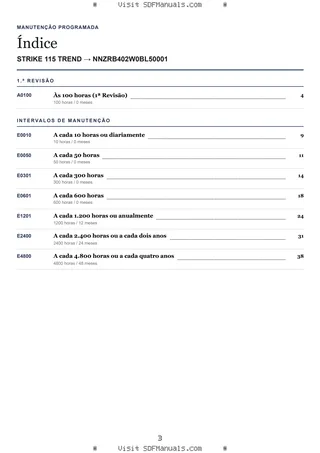 Manutenção programada: STRIKE 115 TREND → NNZRB402W0BL50001 – maintenance schedule sample