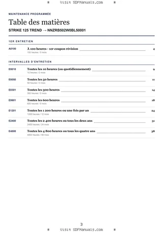 Maintenance programmée: STRIKE 125 TREND → NNZRB502W0BL50001 – maintenance schedule sample