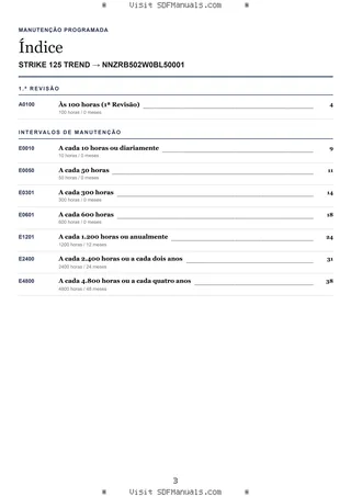 Manutenção programada: STRIKE 125 TREND → NNZRB502W0BL50001 – maintenance schedule sample