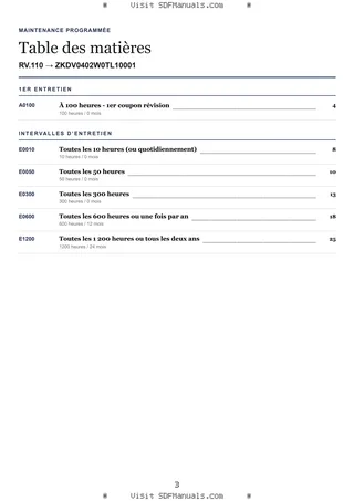 Maintenance programmée: RV.110 → ZKDV0402W0TL10001 – maintenance schedule sample