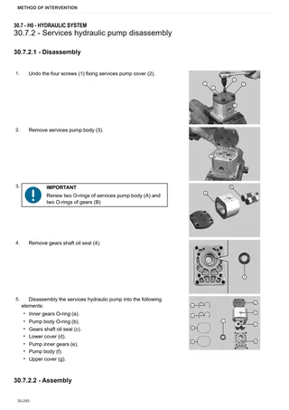 Workshop Manual: C.105 → L25Y974WC1001 – sample manual page 4