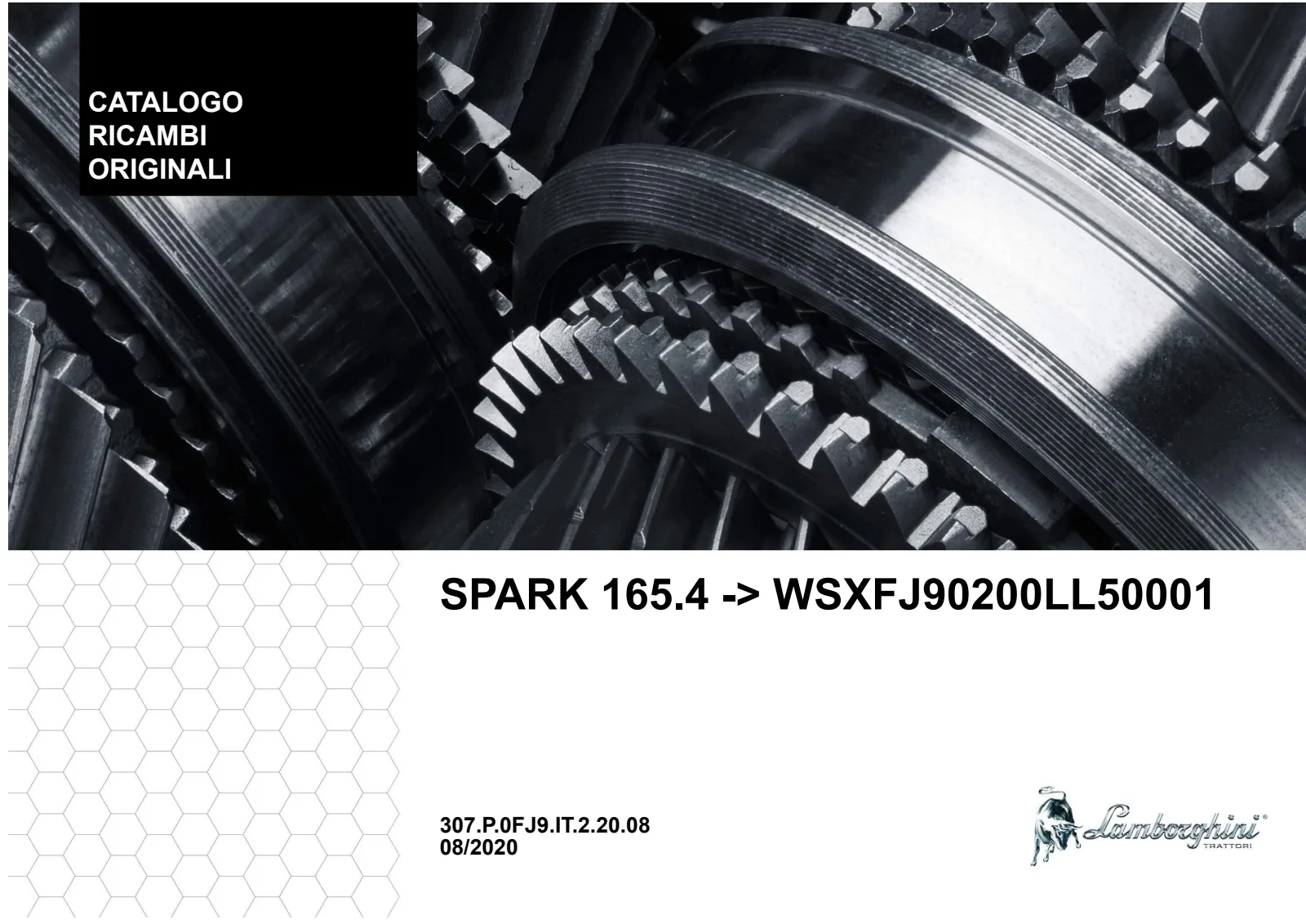 Catalogo ricambi: SPARK 165.4 → WSXFJ90200LL10001
