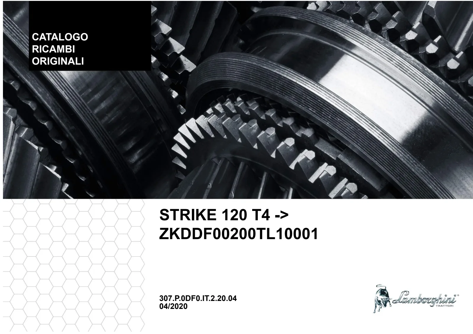 Catalogo ricambi: STRIKE 120 T4 → ZKDDF00200TL10001