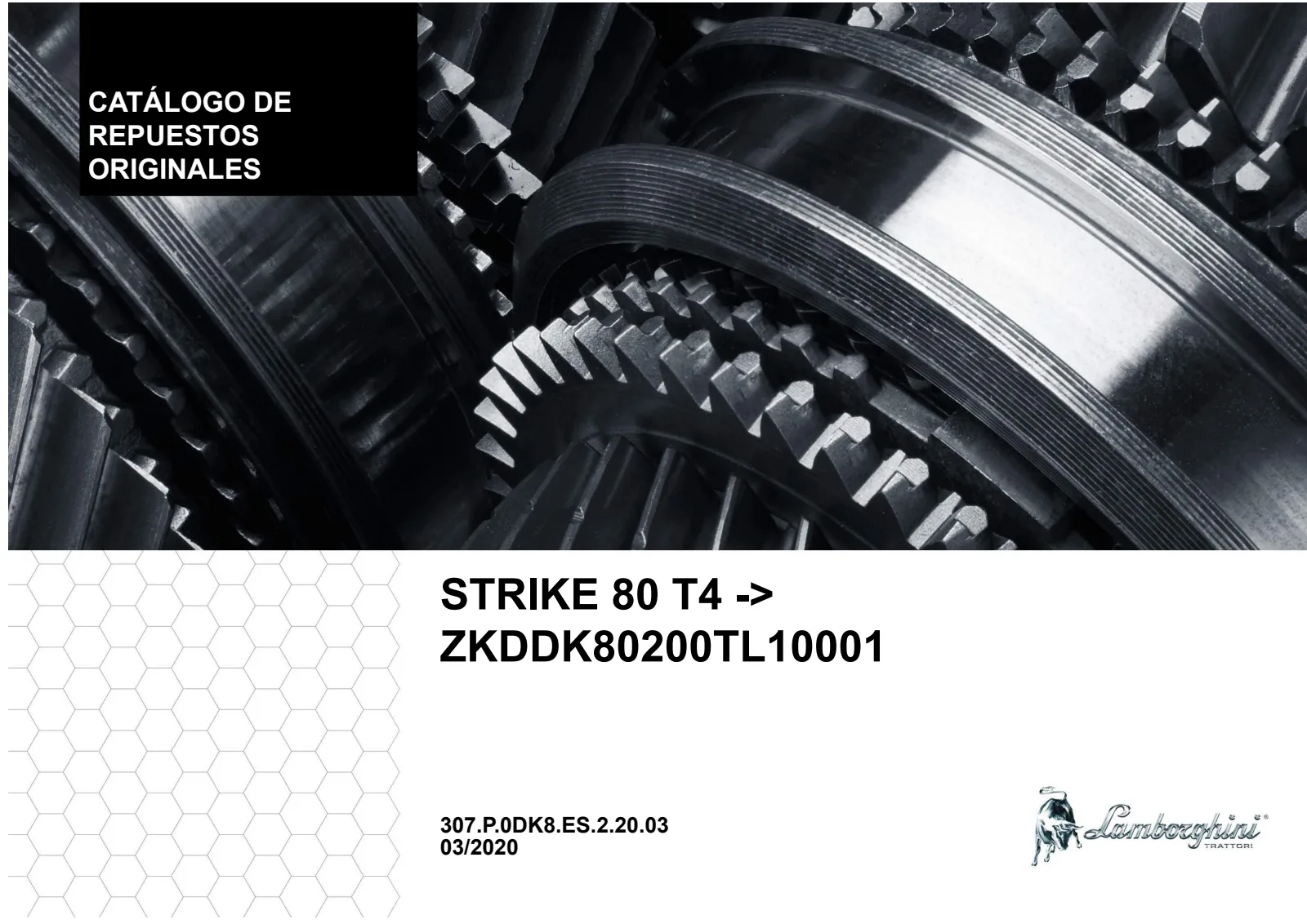 Catálogo de repuestos: STRIKE 80 T4 → ZKDDK80200TL10001