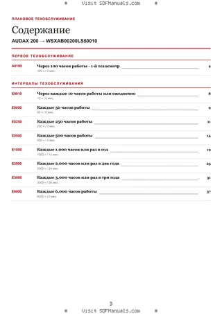 Плановое техобслуживание: AUDAX 200 → WSXAB00200LS50010 – maintenance schedule sample