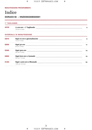 Manutenzione programmata: DORADO 50 → NNZD500200BS00001 – maintenance schedule sample