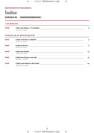 Mantenimiento programado: DORADO 65 → NNZD650200BS00001 – maintenance schedule sample