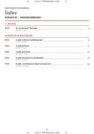 Manutenção programada: DORADO 65 → NNZD650200BS00001 – maintenance schedule sample