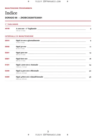 Manutenzione programmata: DORADO 90 → ZKDBC30200TS30001 – maintenance schedule sample