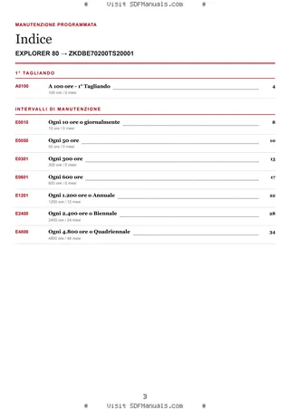 Manutenzione programmata: EXPLORER 80 → ZKDBE70200TS20001 – maintenance schedule sample