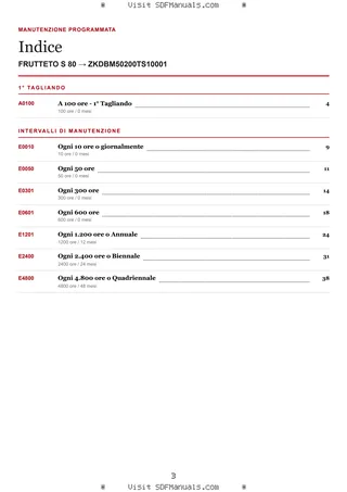 Manutenzione programmata: FRUTTETO S 80 → ZKDBM50200TS10001 – maintenance schedule sample