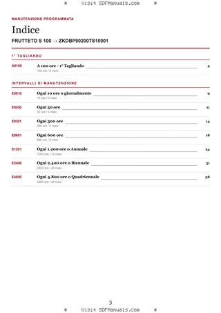 Manutenzione programmata: FRUTTETO S 100 → ZKDBP90200TS10001 – maintenance schedule sample