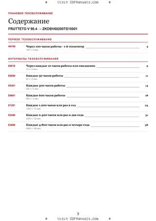 Плановое техобслуживание: FRUTTETO V 90.4 → ZKDBV60200TS10001 – maintenance schedule sample