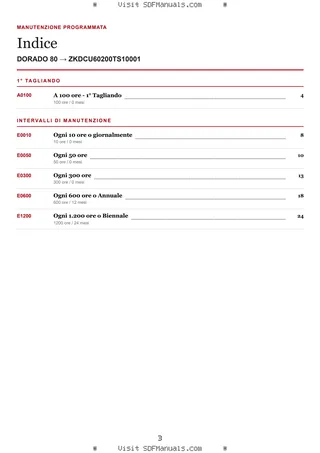 Manutenzione programmata: DORADO 80 → ZKDCU60200TS10001 – maintenance schedule sample