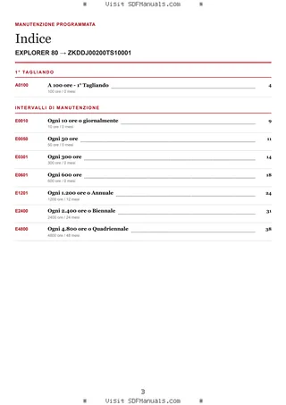 Manutenzione programmata: EXPLORER 80 → ZKDDJ00200TS10001 – maintenance schedule sample