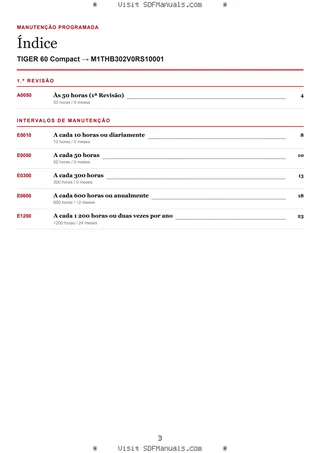 Manutenção programada: TIGER 60 Compact → M1THB302V0RS10001 – maintenance schedule sample