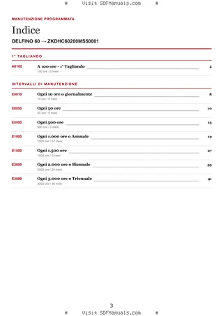 Manutenzione programmata: DELFINO 60 → ZKDHC60200MS50001 – maintenance schedule sample