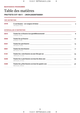 Maintenance programmée: FRUTTETO CVT 100 V → ZKDHJ20200TS50001 – maintenance schedule sample