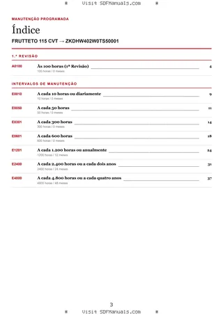 Manutenção programada: FRUTTETO 115 CVT → ZKDHW402W0TS50001 – maintenance schedule sample