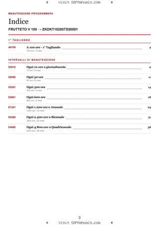 Manutenzione programmata: FRUTTETO V 100 → ZKDKT10200TS50001 – maintenance schedule sample