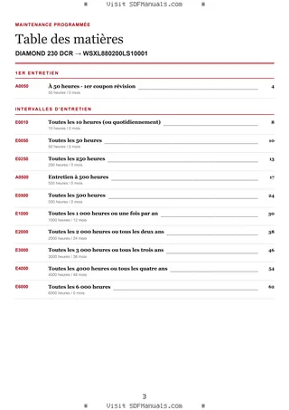 Maintenance programmée: DIAMOND 230 DCR → WSXL880200LS10001 – maintenance schedule sample