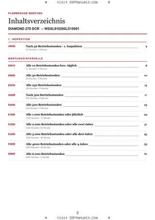 Planmäßige Wartung: DIAMOND 270 DCR → WSXL910200LS10001 – maintenance schedule sample