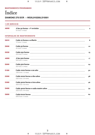 Mantenimiento programado: DIAMOND 270 DCR → WSXL910200LS10001 – maintenance schedule sample
