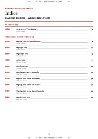 Manutenzione programmata: DIAMOND 270 DCR → WSXL910200LS10001 – maintenance schedule sample