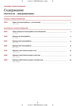 Плановое техобслуживание: FRUTTETO 95 → ZKDLB20200TS50001 – maintenance schedule sample