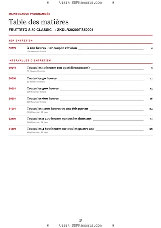 Maintenance programmée: FRUTTETO S 80 CLASSIC → ZKDLR20200TS50001 – maintenance schedule sample