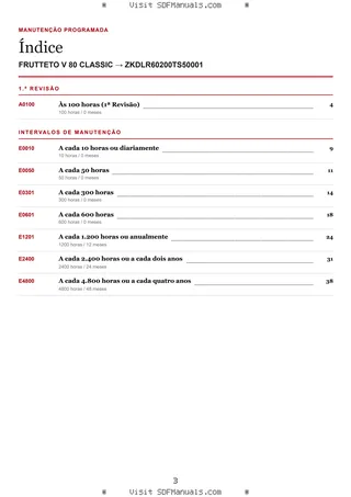 Manutenção programada: FRUTTETO V 80 CLASSIC → ZKDLR60200TS50001 – maintenance schedule sample